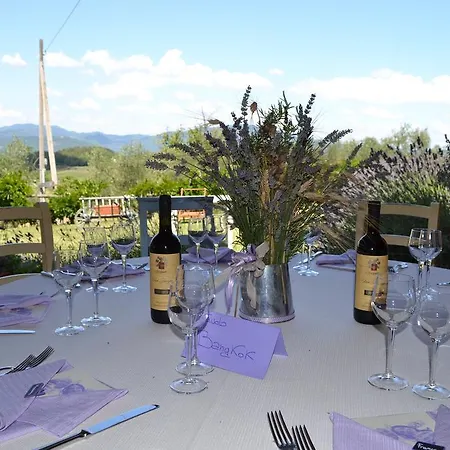 Tenuta Risalpiano *