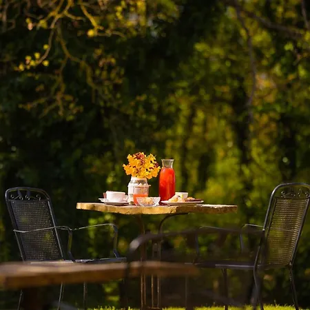 Tenuta Risalpiano Alojamento de Turismo Rural Pelago
