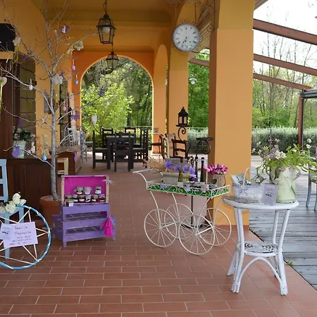 Gospodarstwo agroturystyczne Tenuta Risalpiano Pelago
