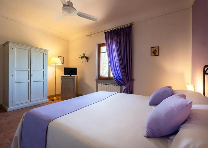 Tenuta Risalpiano ファームステイ *