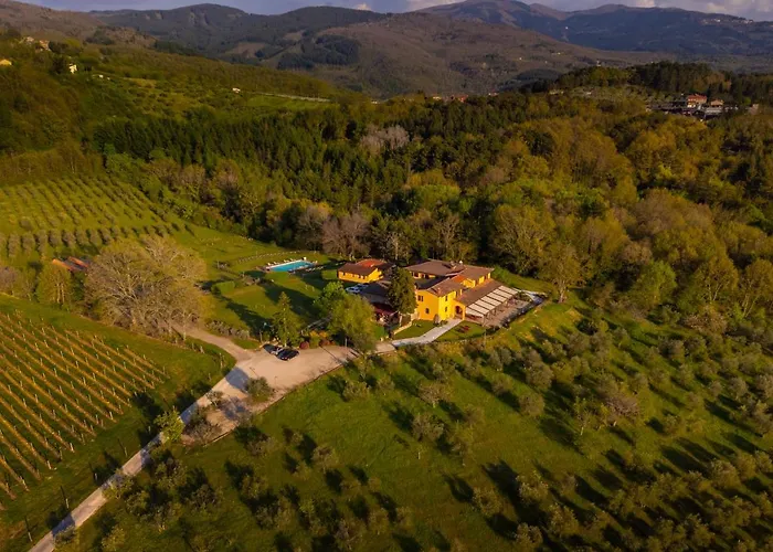 Tenuta Risalpiano ファームステイ Pelago