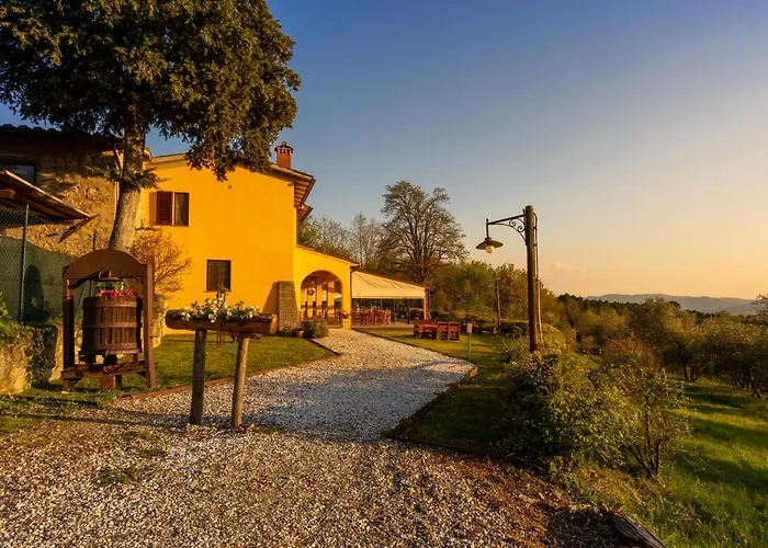 Tenuta Risalpiano ファームステイ Pelago