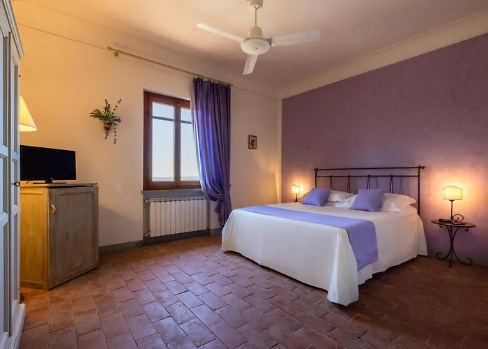 Tenuta Risalpiano ファームステイ *